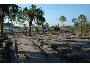 1862 Timbers West Rockledge, FL 32955 - Photo 2 of 6 Additional Photo