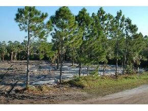 1862 Timbers West Rockledge, FL 32955 - Photo 3 of 6 Additional Photo