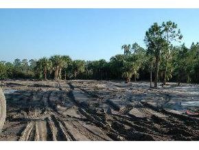 1862 Timbers West Rockledge, FL 32955 - Photo 4 of 6 Additional Photo