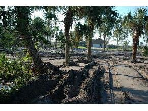 1862 Timbers West Rockledge, FL 32955 - Photo 6 of 6 Additional Photo