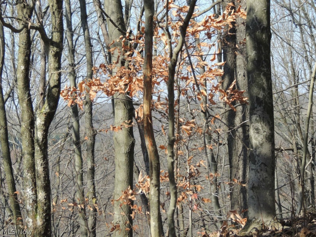 Hill Road Flushing, OH 43977 - Photo 14 of 23 Gallery Image 14