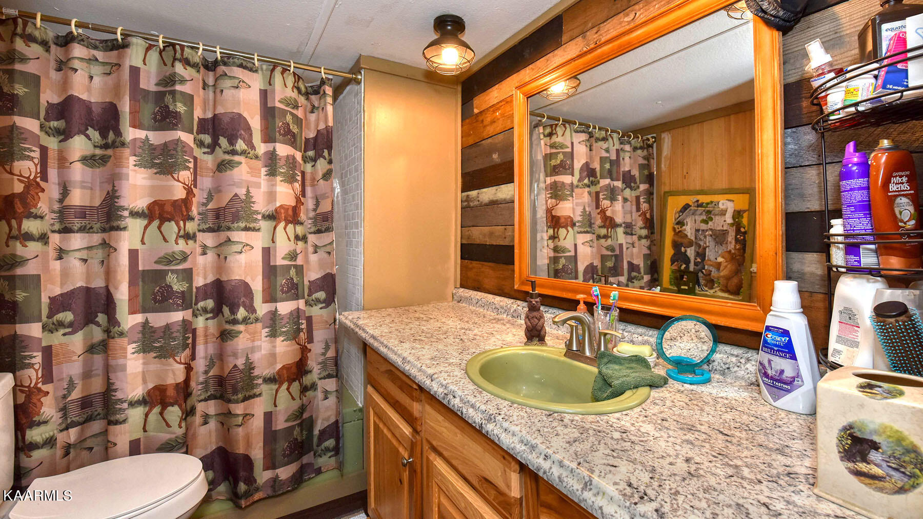 1179 Rule Hollow Road Sevierville, TN 37876 - Photo 8 of 15 SL8_8480_3