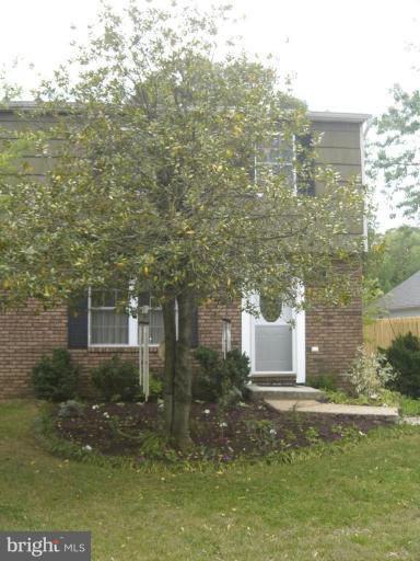 341 River Road Arnold, MD 21012 - Photo 22 of 23 Front Tree