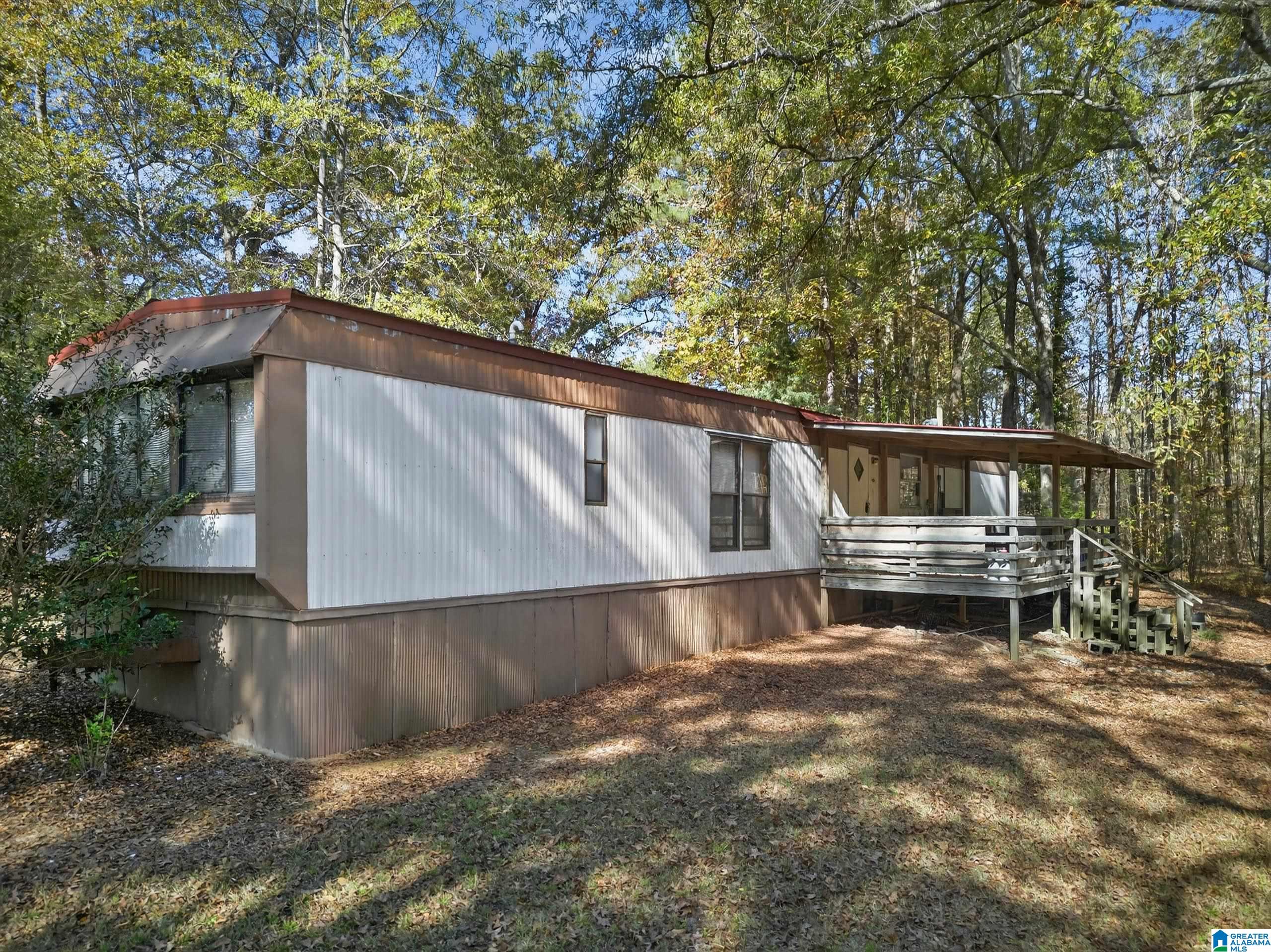 206 Pruitt Road Piedmont, AL 36272 - Photo 2 of 28