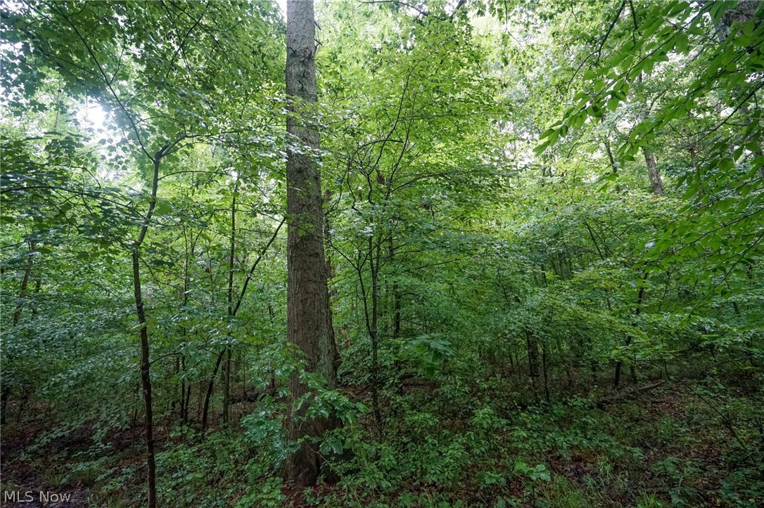 Duncanson Road Sardinia, OH 45171 - Photo 10 of 50 Gallery Image 10