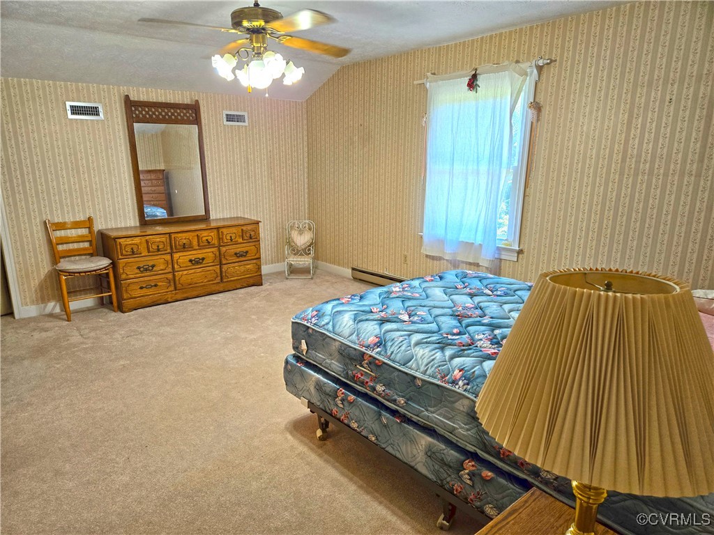 539 Chellowe Road Dillwyn, VA 23936 - Photo 6 of 25 Gallery Image 6