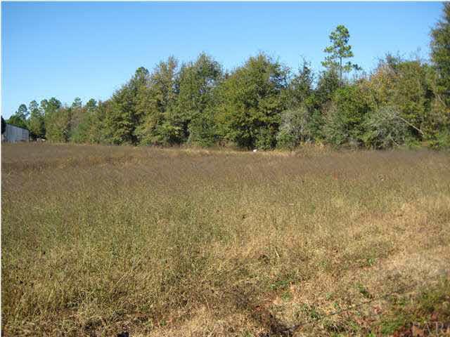 N/a Farm Road Jay, FL 32565 - Photo 3 of 4
