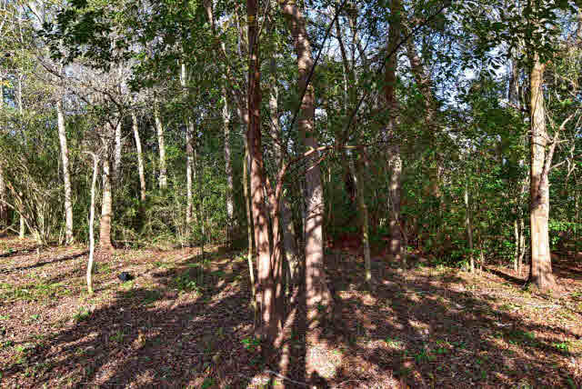 0 Johnson Avenue Fairhope, AL 36532 - Photo 4 of 7