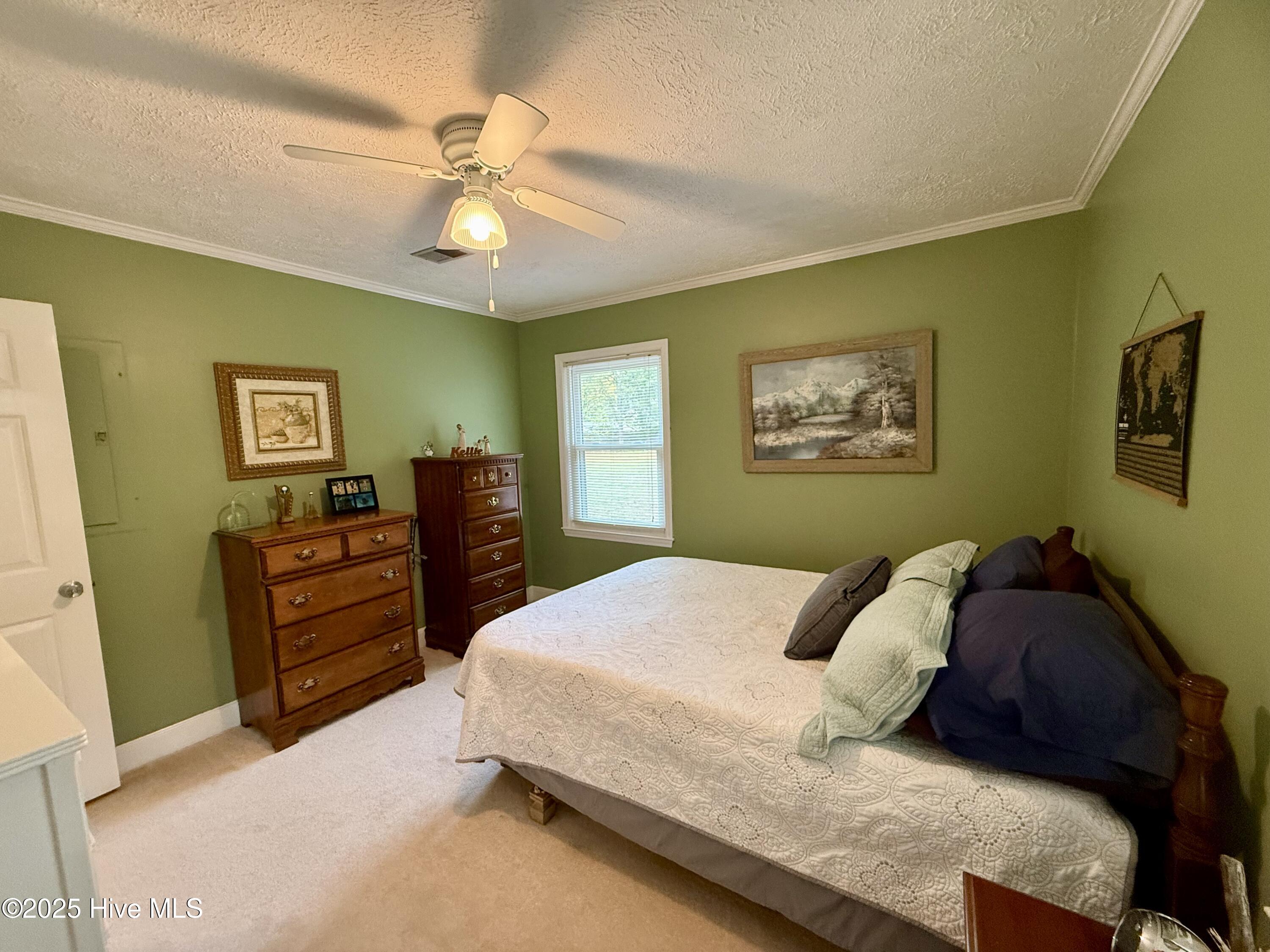 11561 Purcell Road Laurinburg, NC 28352 - Photo 23 of 36 IMG_0538