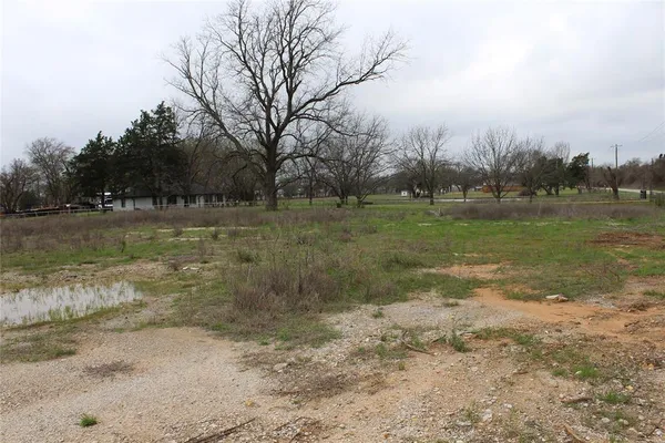 a view of a field with trees