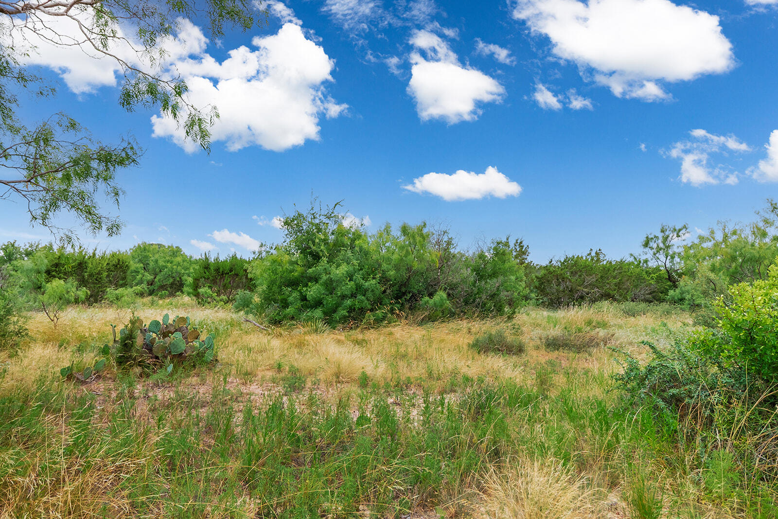 355 Bison Road Eden, TX 76837 - Photo 8 of 14 115A0257-HDR-Edit