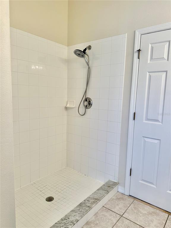 27747 Pleasure Ride Loop Wesley Chapel, FL 33544 - Photo 41 of 56 a bathroom with a shower