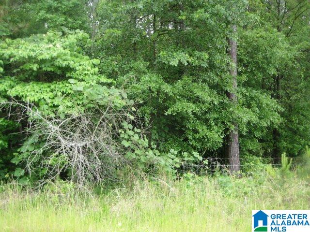 0 Sulphur Springs Road, Unit 10 ACRES Lincoln, AL 35096 - Photo 6 of 32