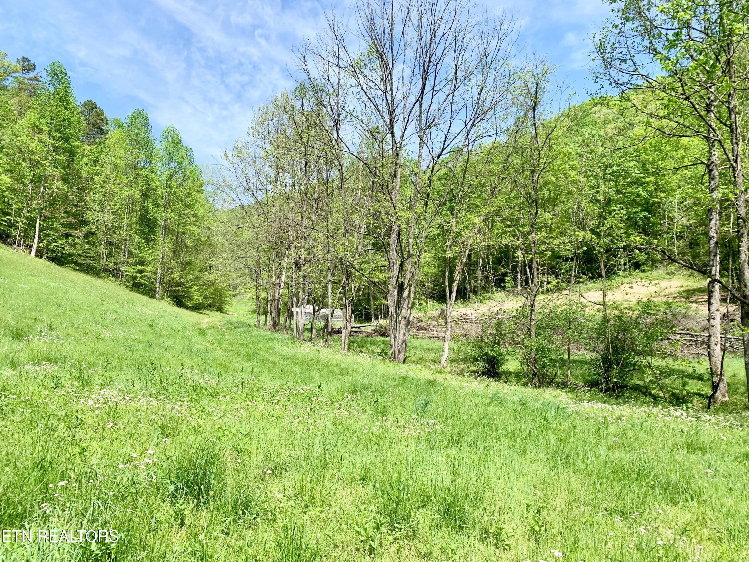 1088 Jones Ridge Road Speedwell, TN 37870 - Photo 47 of 53 10