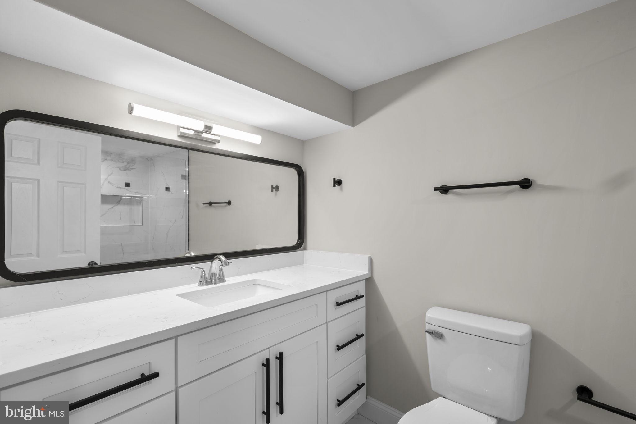 1501 Pine Grove Road Capitol Heights, MD 20743 - Photo 37 of 44 a bathroom with a sink a toilet a mirror and vanity