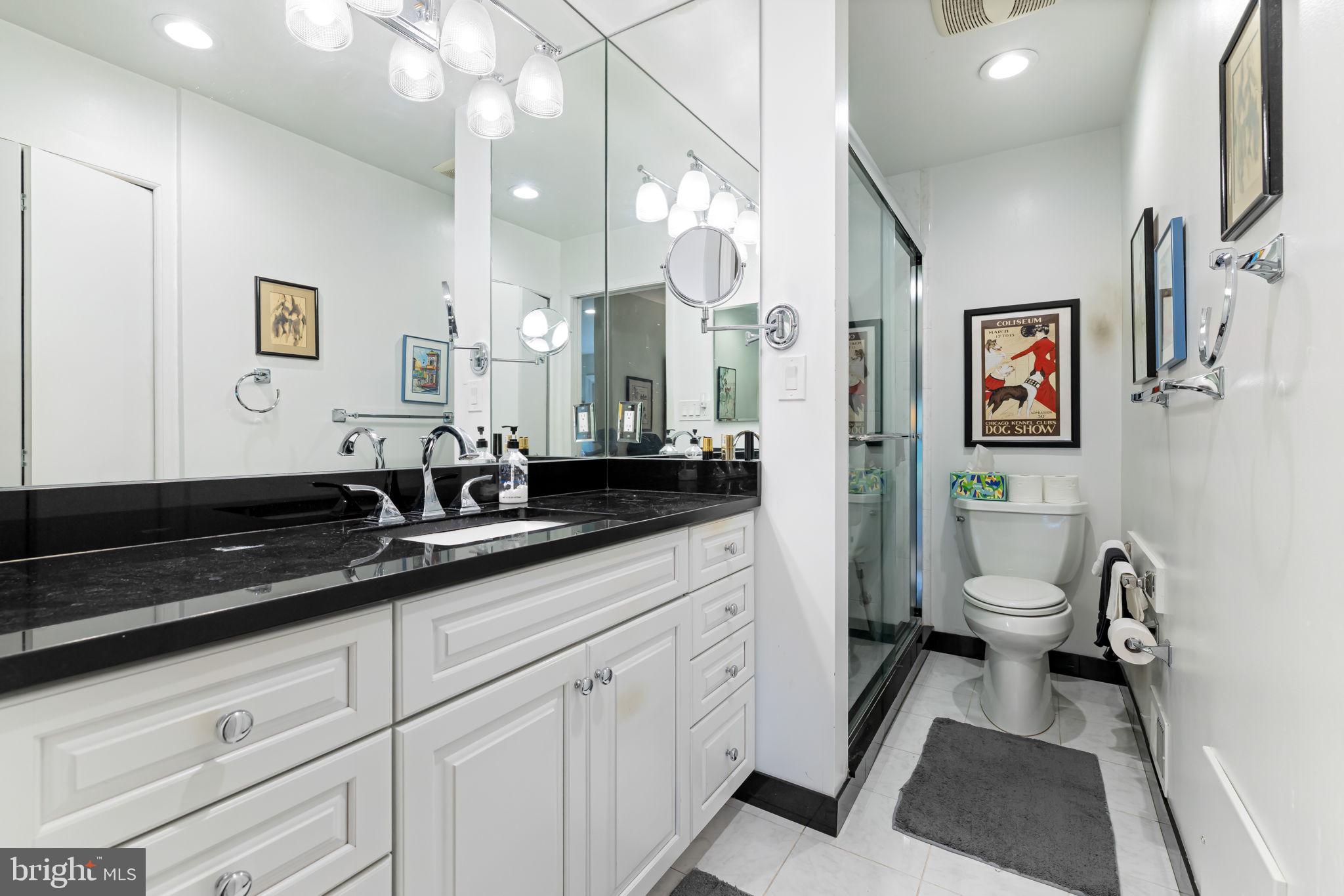 4 Hamlet Hill Road Baltimore, MD 21210 - Photo 30 of 39 primary bath with granite and walk-in shower