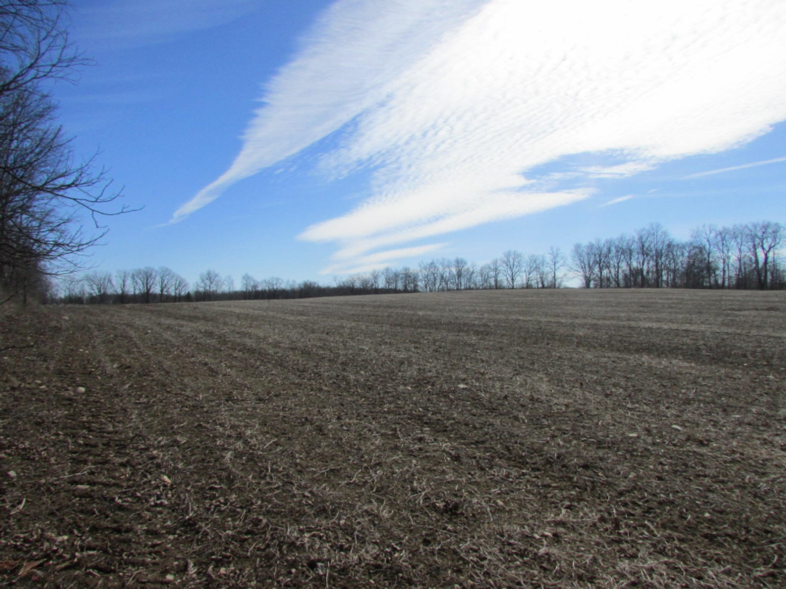 0 East Card Road Hillsdale, MI 49242 - Photo 1 of 15 IMG_7640.JPG