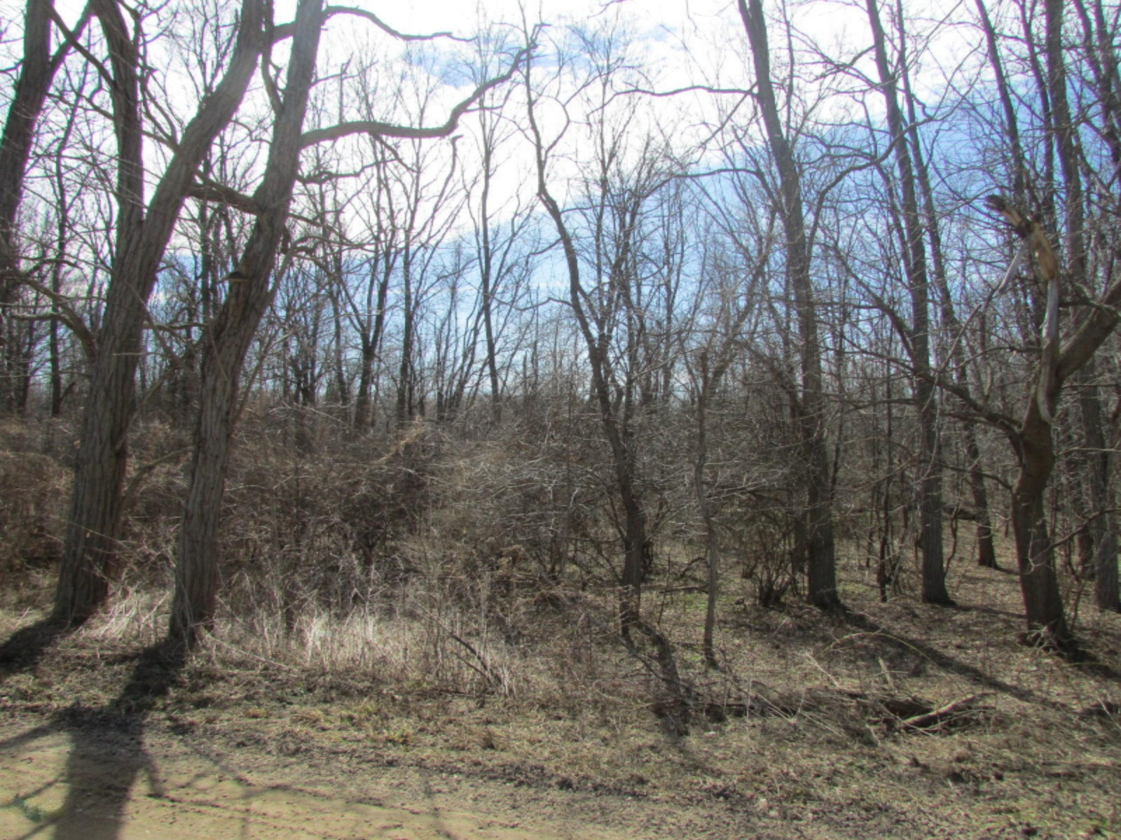 0 East Card Road Hillsdale, MI 49242 - Photo 11 of 15 IMG_7652.JPG