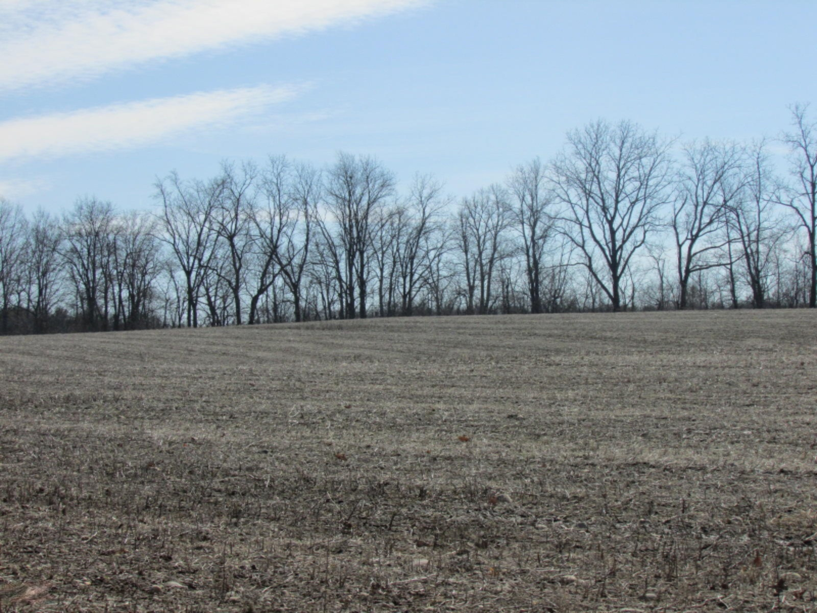 0 East Card Road Hillsdale, MI 49242 - Photo 2 of 15 IMG_7643.JPG