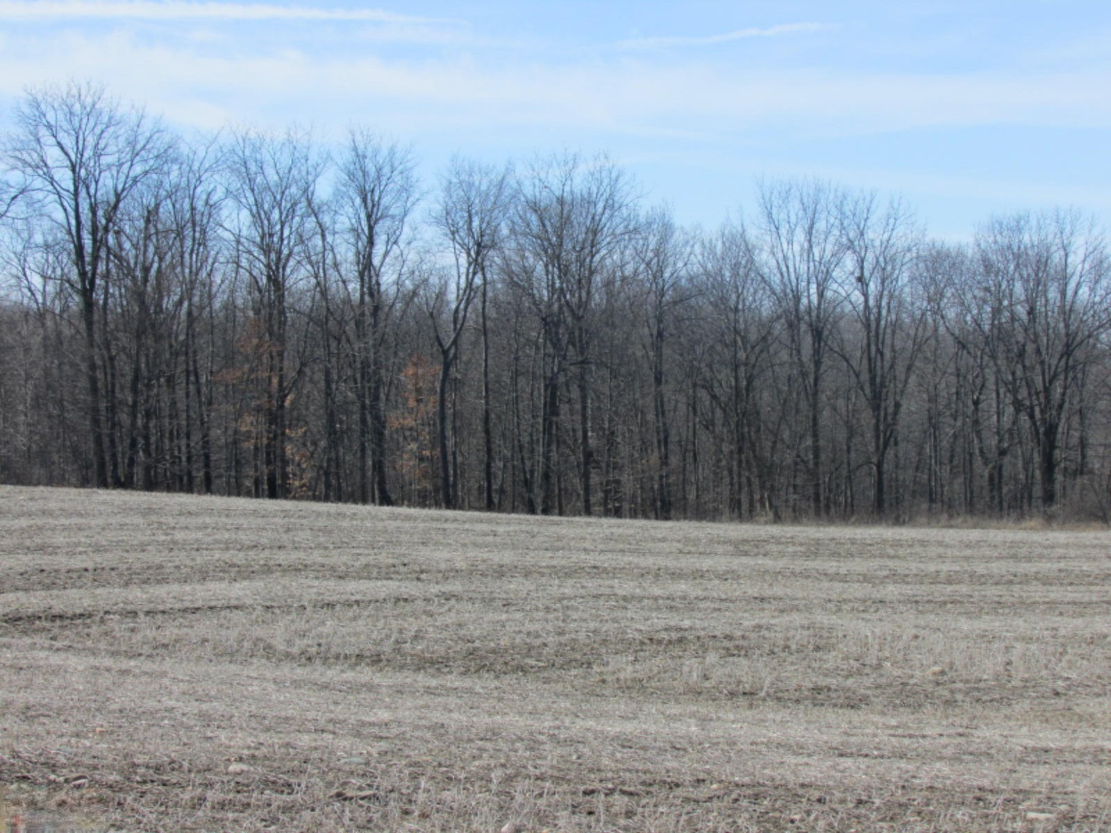 0 East Card Road Hillsdale, MI 49242 - Photo 3 of 15 IMG_7642.JPG