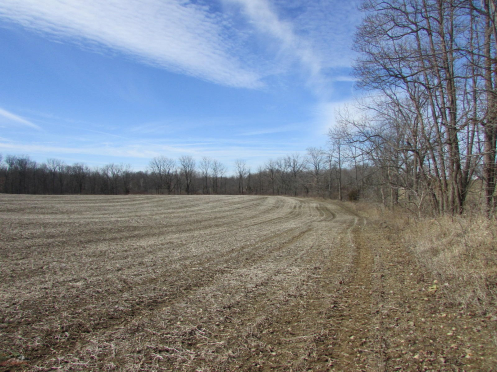 0 East Card Road Hillsdale, MI 49242 - Photo 5 of 15 IMG_7641.JPG