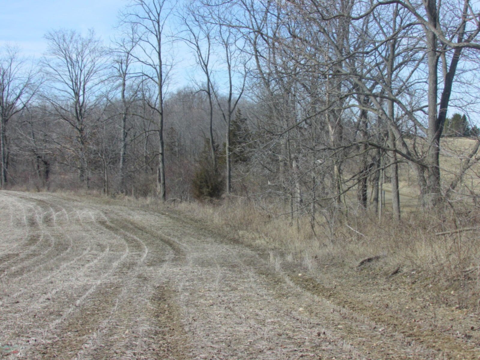 0 East Card Road Hillsdale, MI 49242 - Photo 6 of 15 IMG_7645.JPG