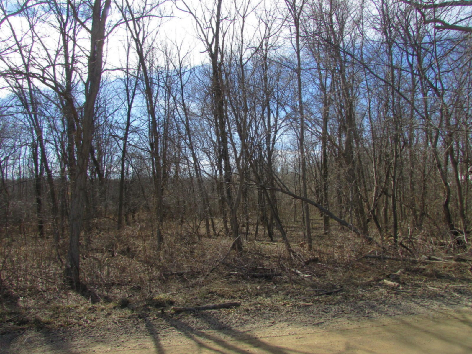 0 East Card Road Hillsdale, MI 49242 - Photo 8 of 15 IMG_7650.JPG