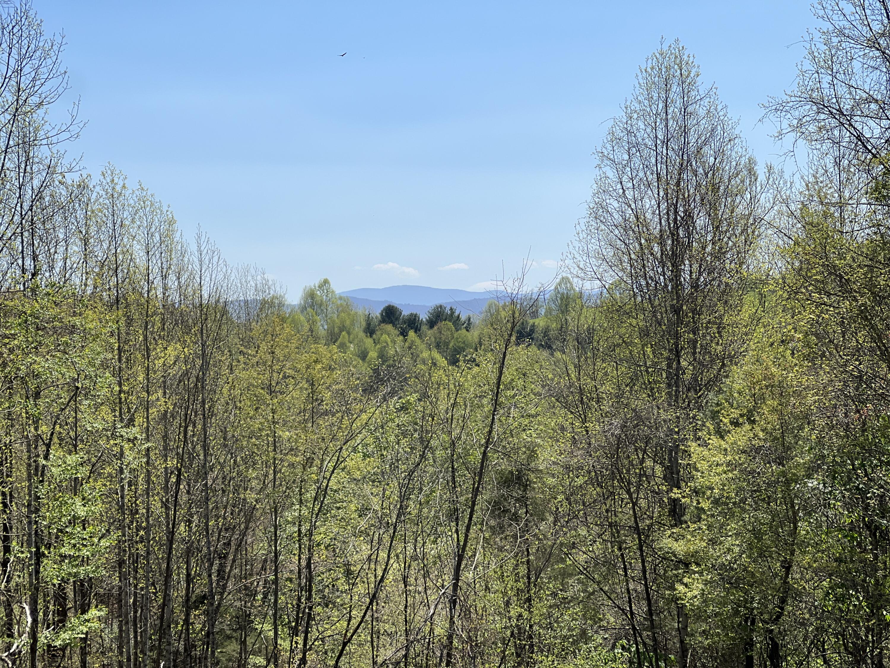 Lot 41 West Of Dry Hill Road, Unit 41 Butler, TN 37640 - Photo 12 of 26 IMG_9233