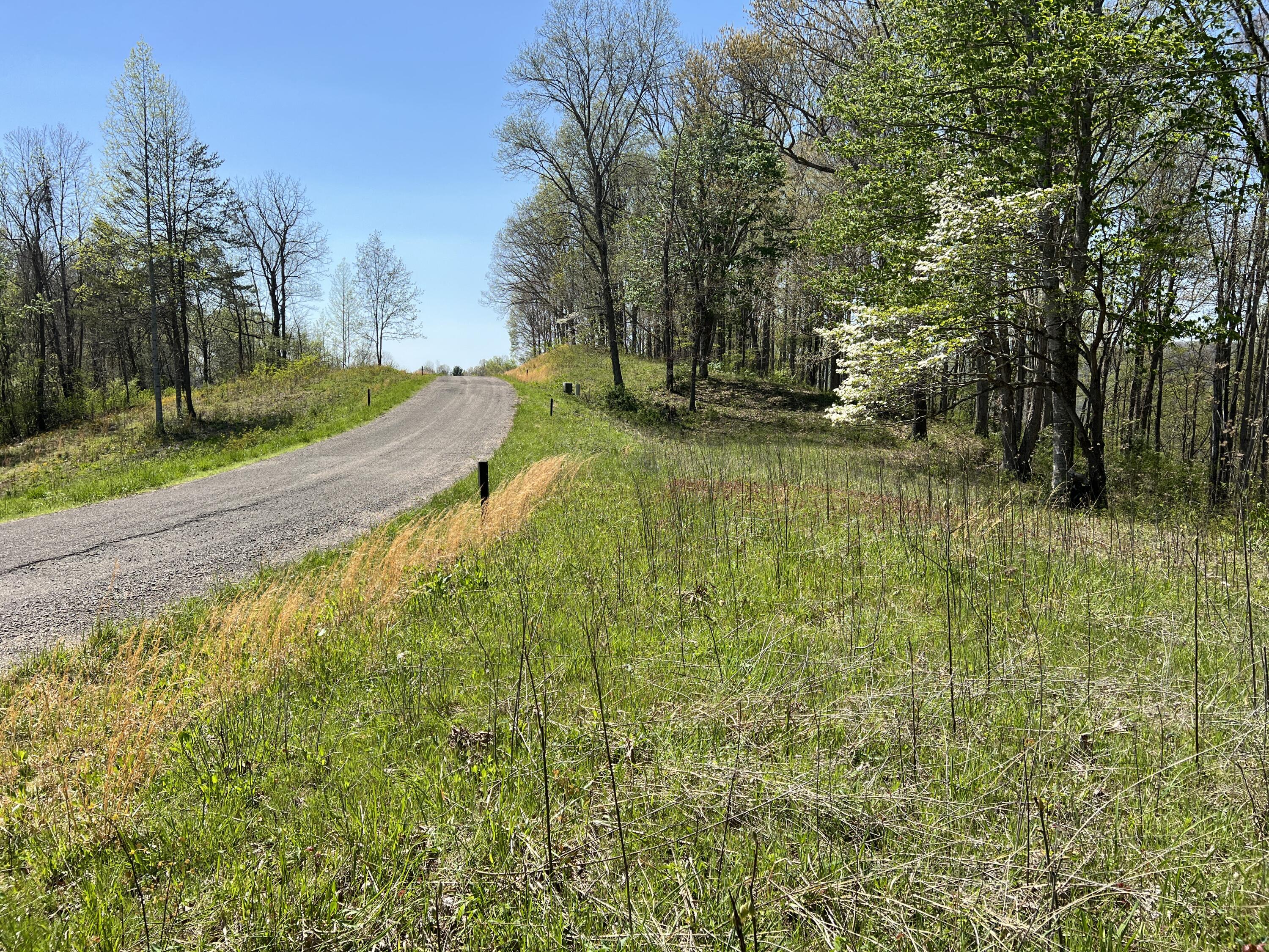 Lot 41 West Of Dry Hill Road, Unit 41 Butler, TN 37640 - Photo 14 of 26 IMG_9215