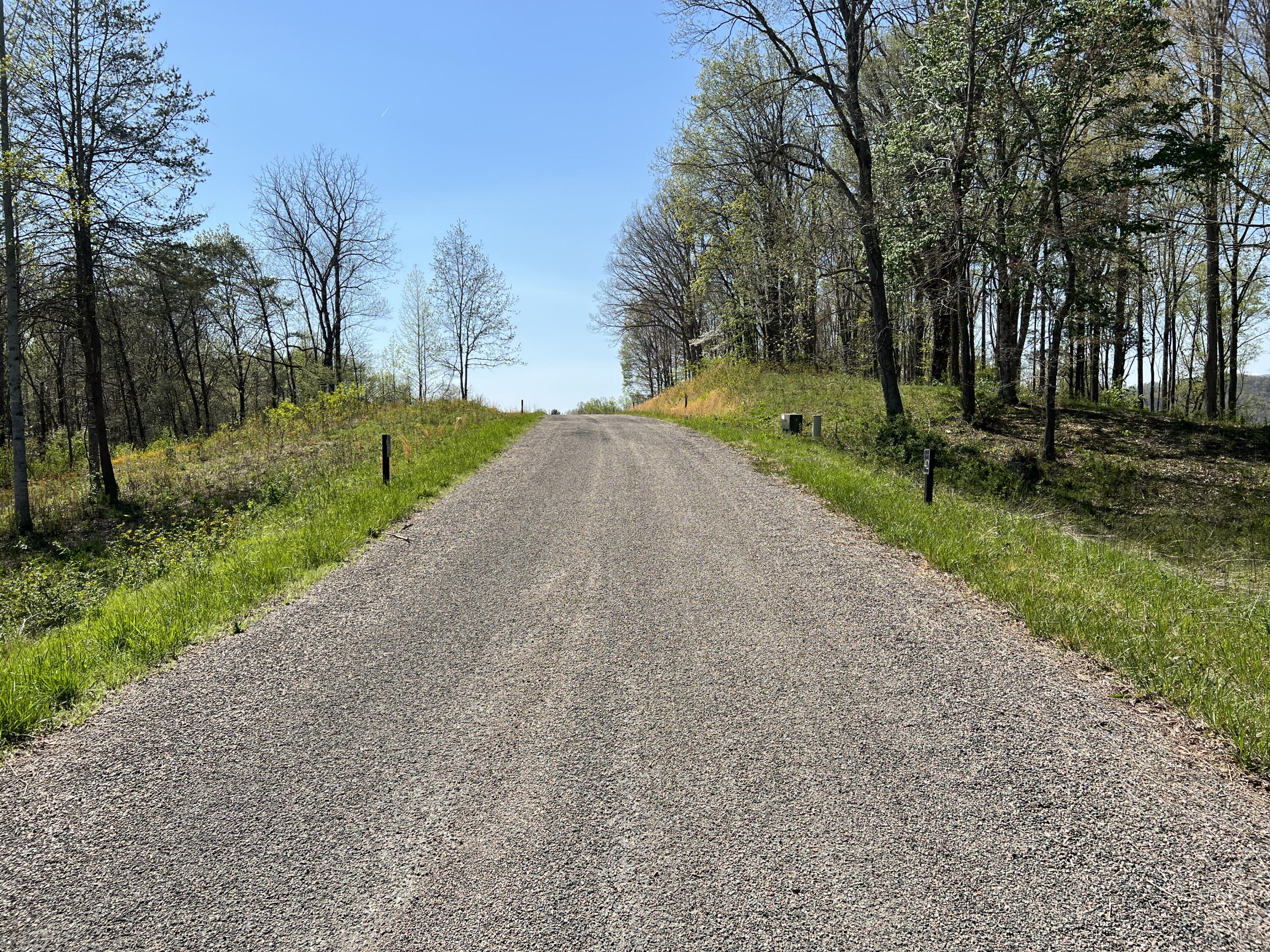 Lot 41 West Of Dry Hill Road, Unit 41 Butler, TN 37640 - Photo 15 of 26 IMG_9228