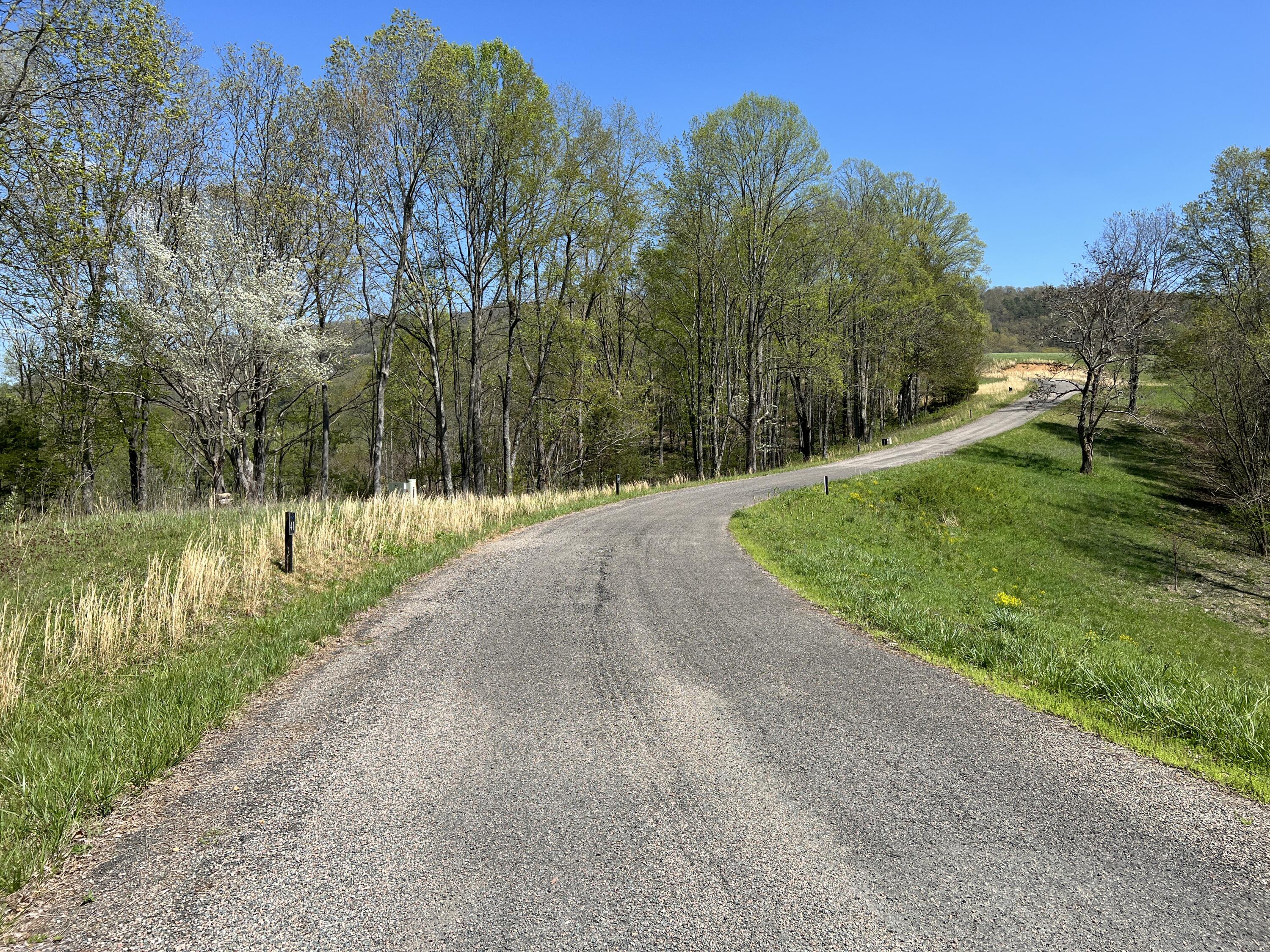 Lot 41 West Of Dry Hill Road, Unit 41 Butler, TN 37640 - Photo 16 of 26 IMG_9234