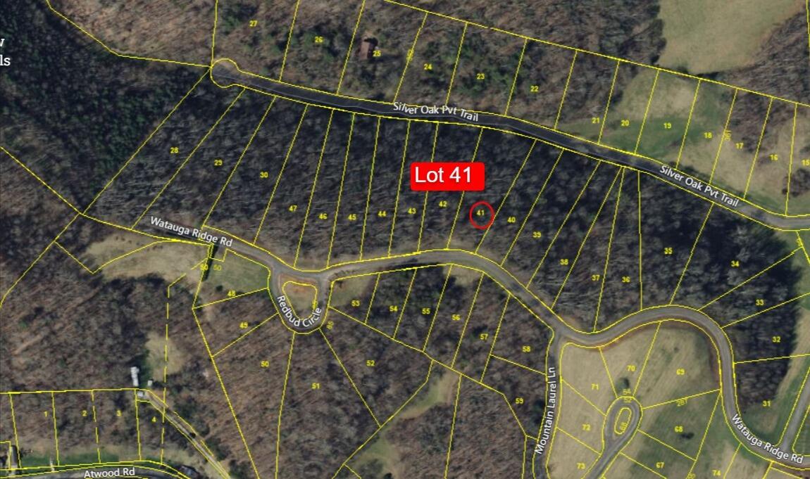 Lot 41 West Of Dry Hill Road, Unit 41 Butler, TN 37640 - Photo 22 of 26 Lot 41