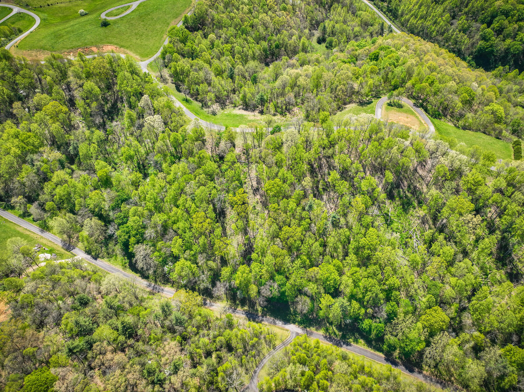 Lot 41 West Of Dry Hill Road, Unit 41 Butler, TN 37640 - Photo 7 of 26 105