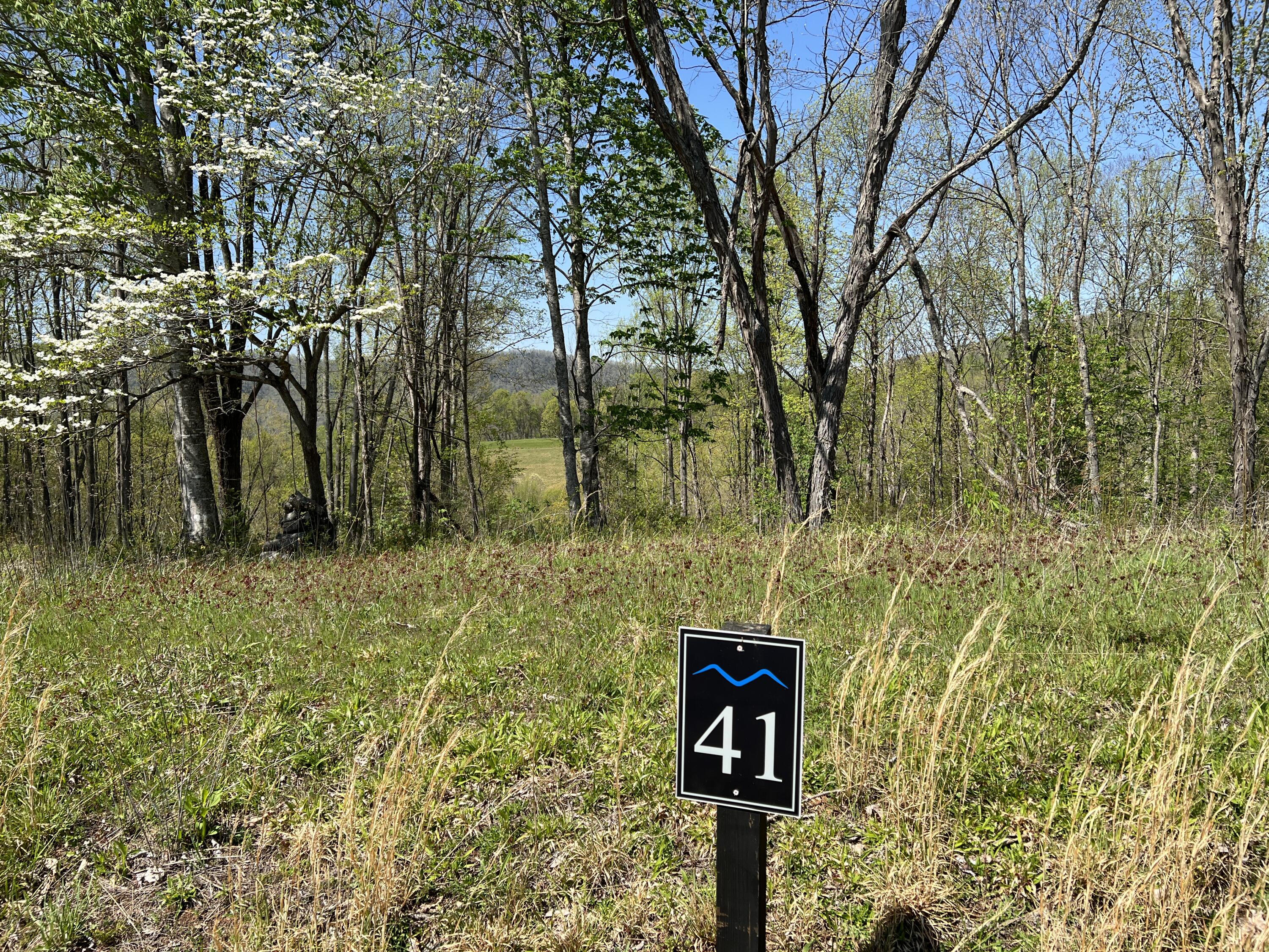 Lot 41 West Of Dry Hill Road, Unit 41 Butler, TN 37640 - Photo 10 of 26 IMG_9216