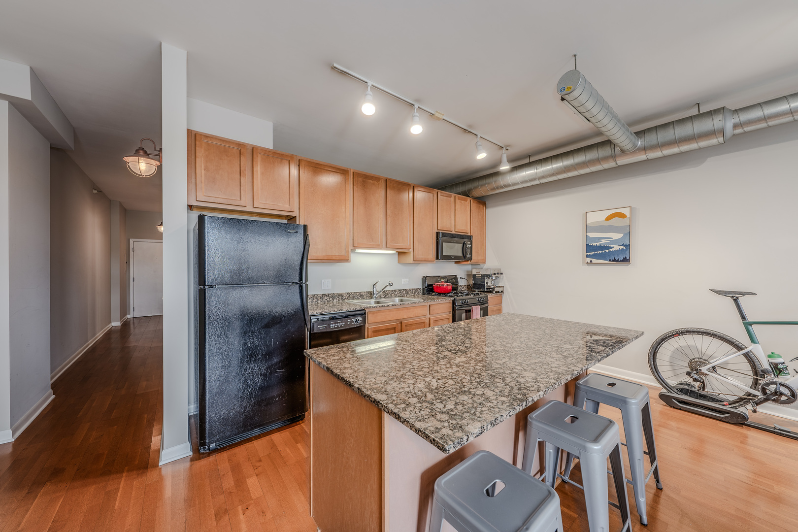 1200 West Monroe Street, Unit 519 Chicago, IL 60607 - Photo 4 of 18