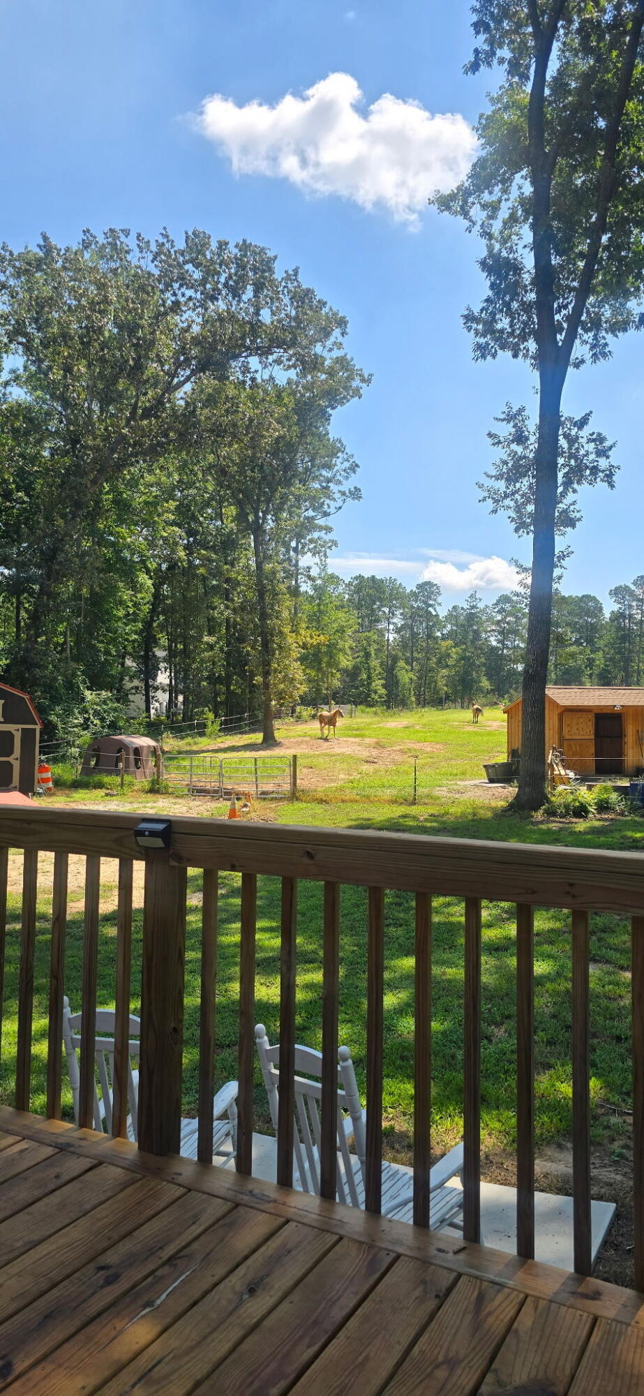 1061 Outaways Road Aiken, SC 29803 - Photo 60 of 67