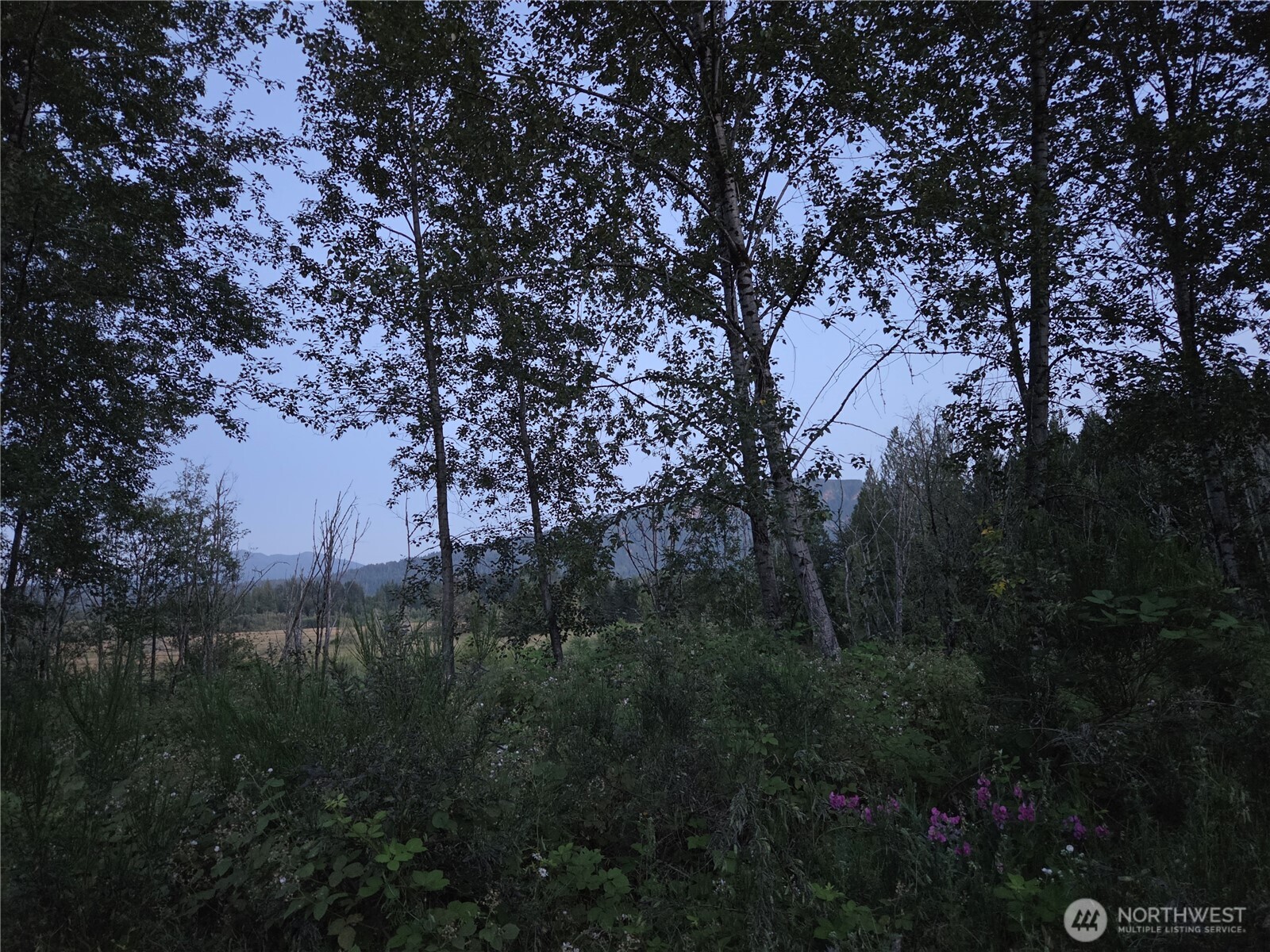 108 Savio Road East Randle, WA 98377 - Photo 27 of 33