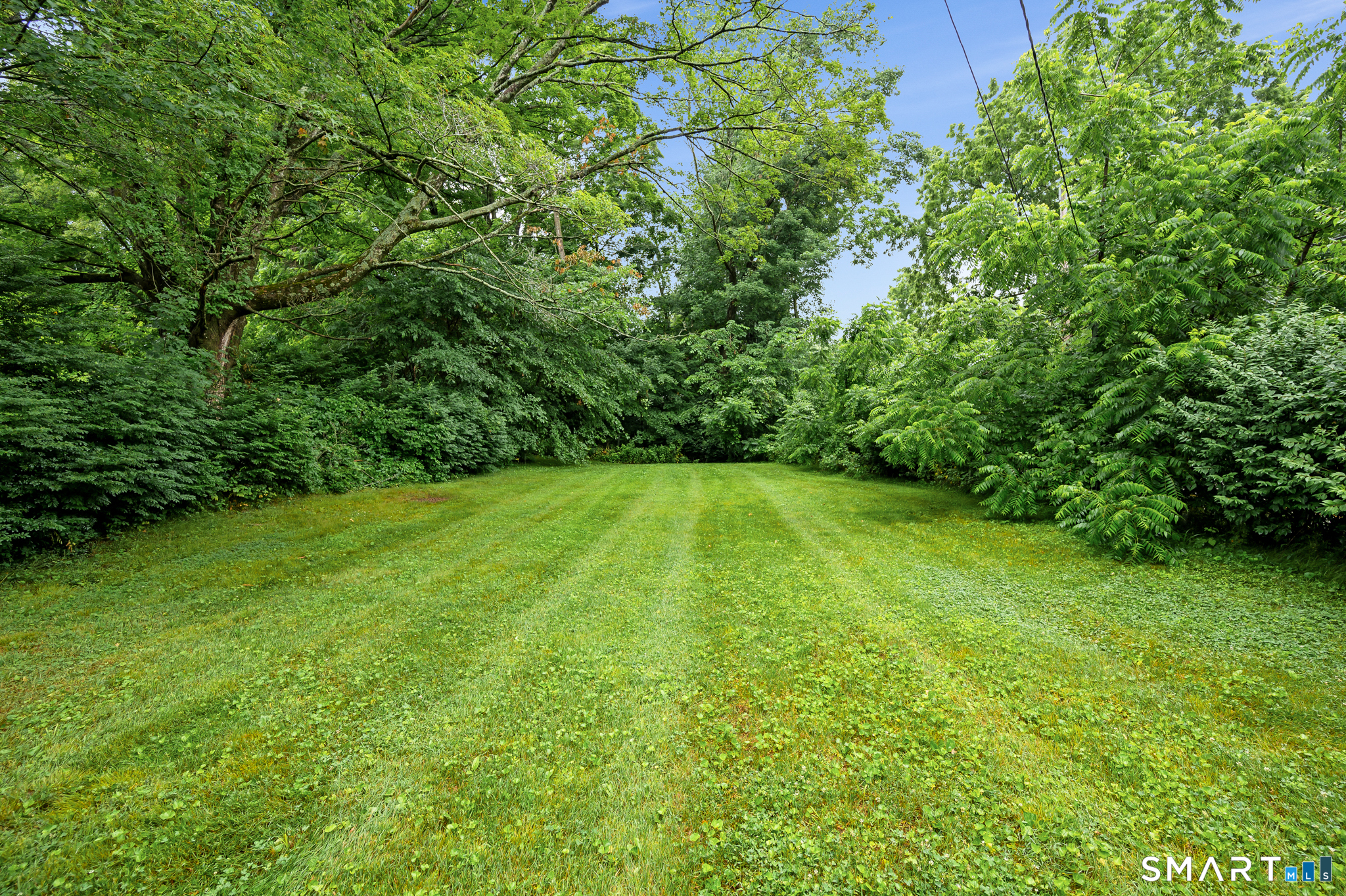 128 Norwich-Lebanon Road Franklin, CT 06254 - Photo 31 of 39 Side yard