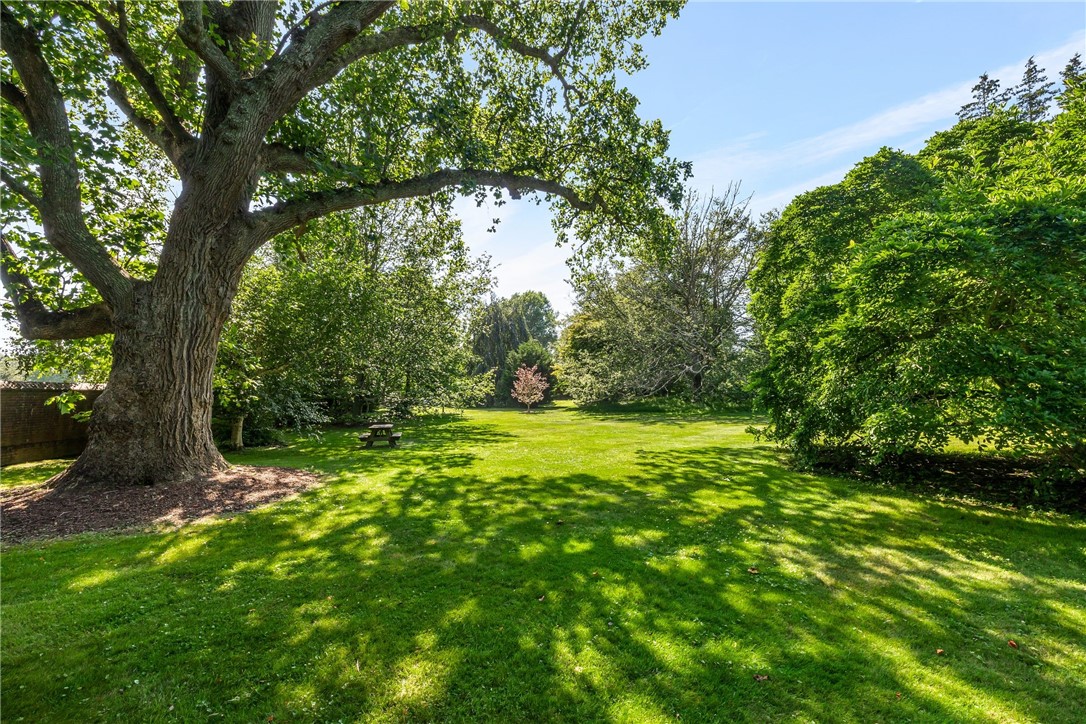 97 Harrison Avenue, Unit P1 Newport, RI 02840 - Photo 9 of 43 Beautiful mature trees