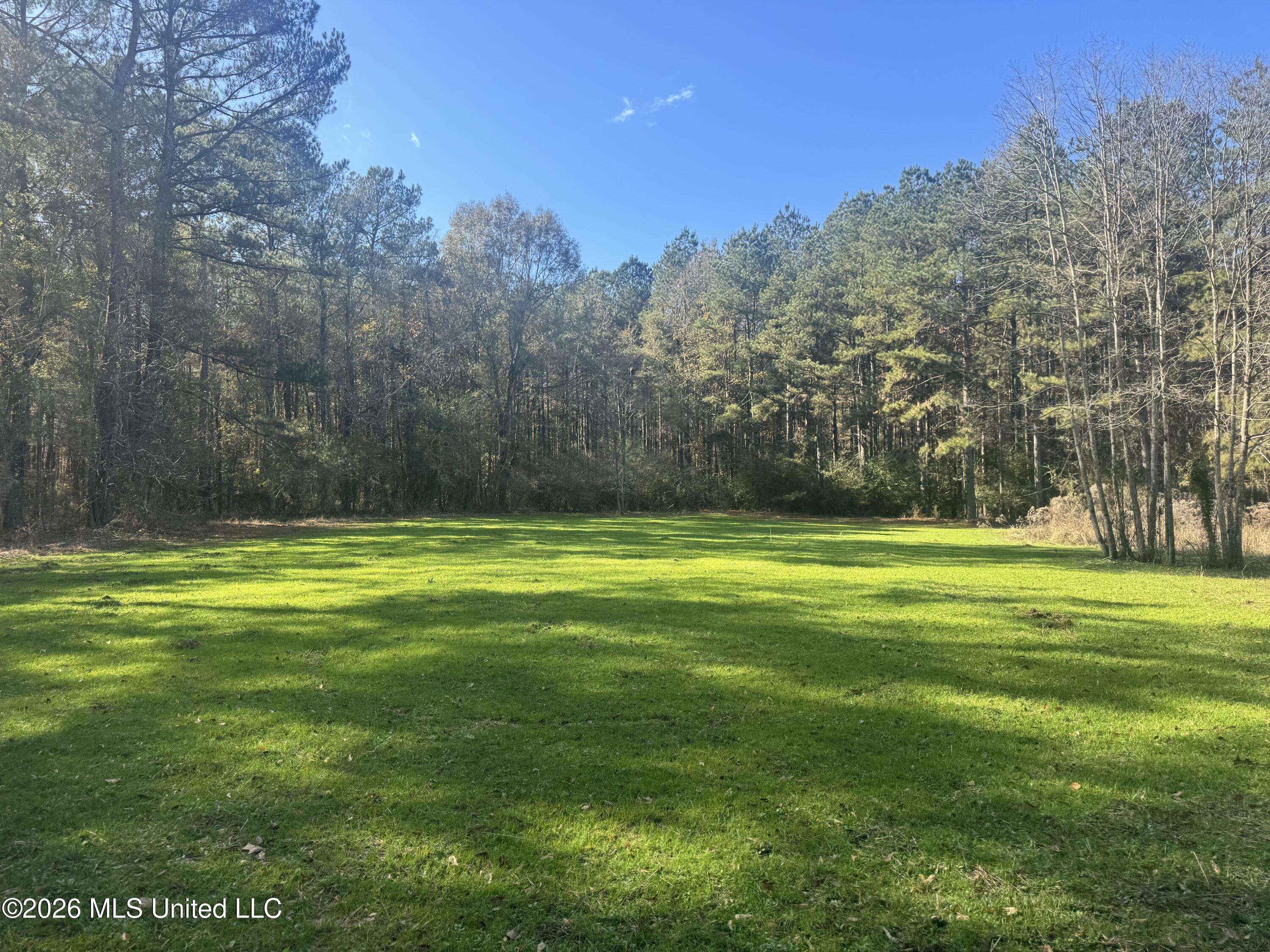 Mckenzie Road Tylertown, MS 39667 - Photo 3 of 50 3