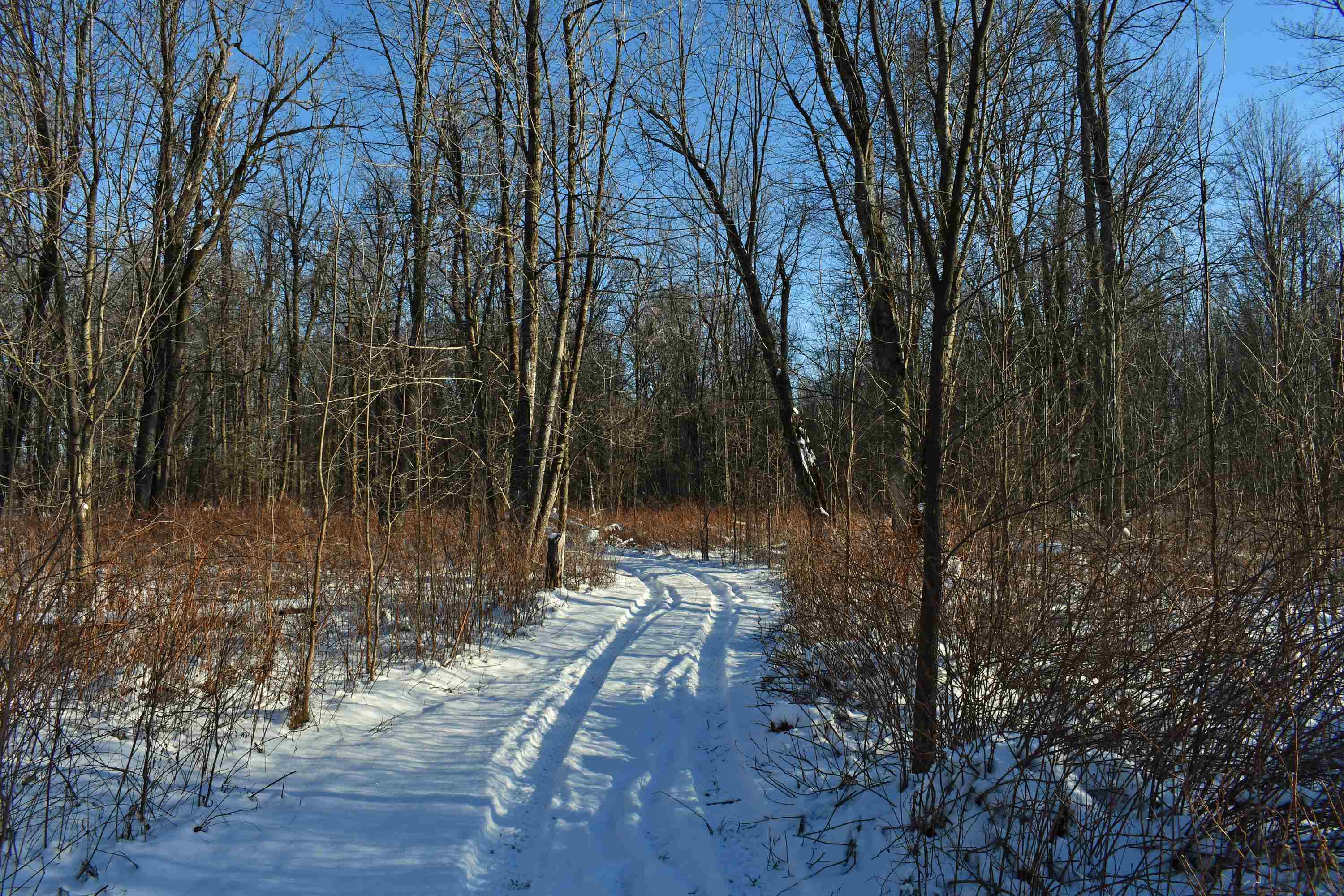3471 Crosby Road Turner, MI 48765 - Photo 38 of 49 Gallery Image 38