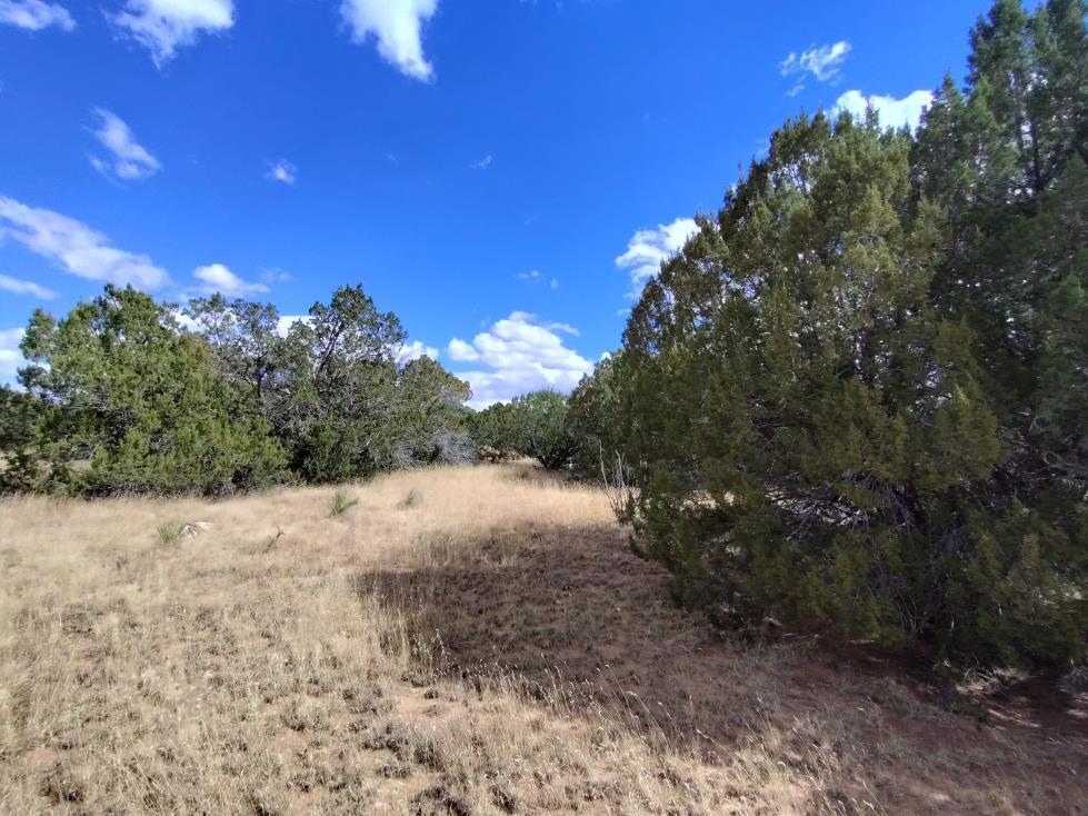 Golf Course Road Mountainair, NM 87036 - Photo 14 of 22 Gallery Image 14