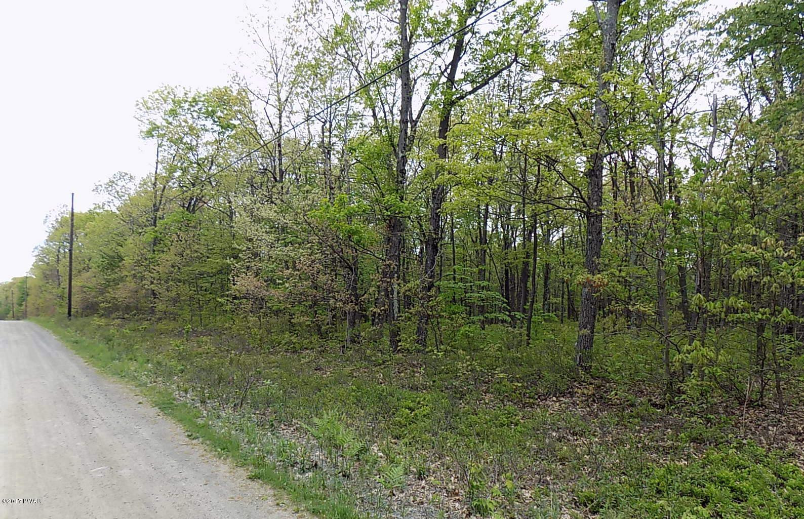 Lot 15 Bloss Road Road Canadensis, PA 18325 - Photo 6 of 6