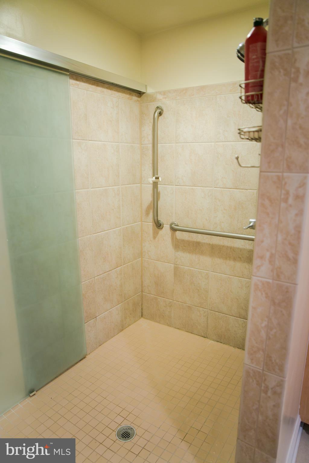 8403 Thames Street Springfield, VA 22151 - Photo 12 of 30 Roll in Shower w/Grab Bars