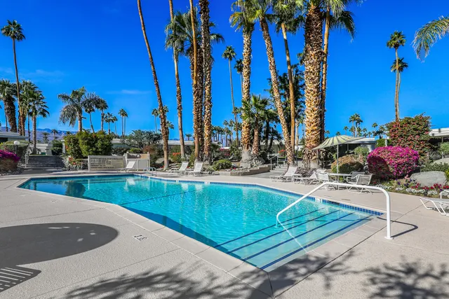 a view of a swimming pool with a lawn chairs and palm trees
