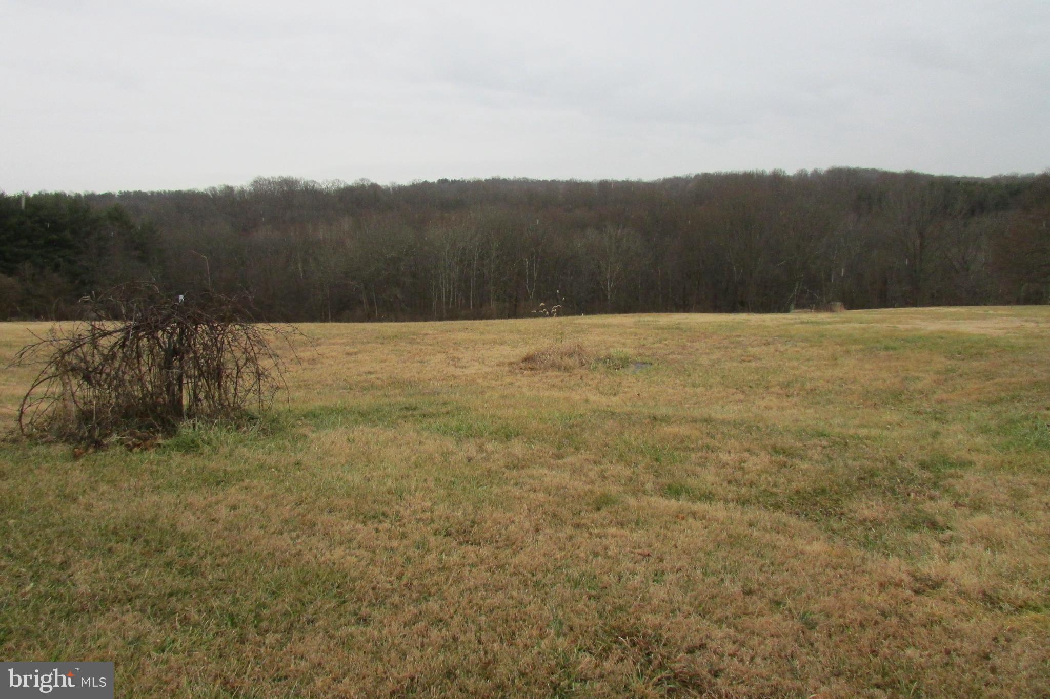 Lot 2 Flag Marsh Road Mount Airy, MD 21771 - Photo 1 of 4