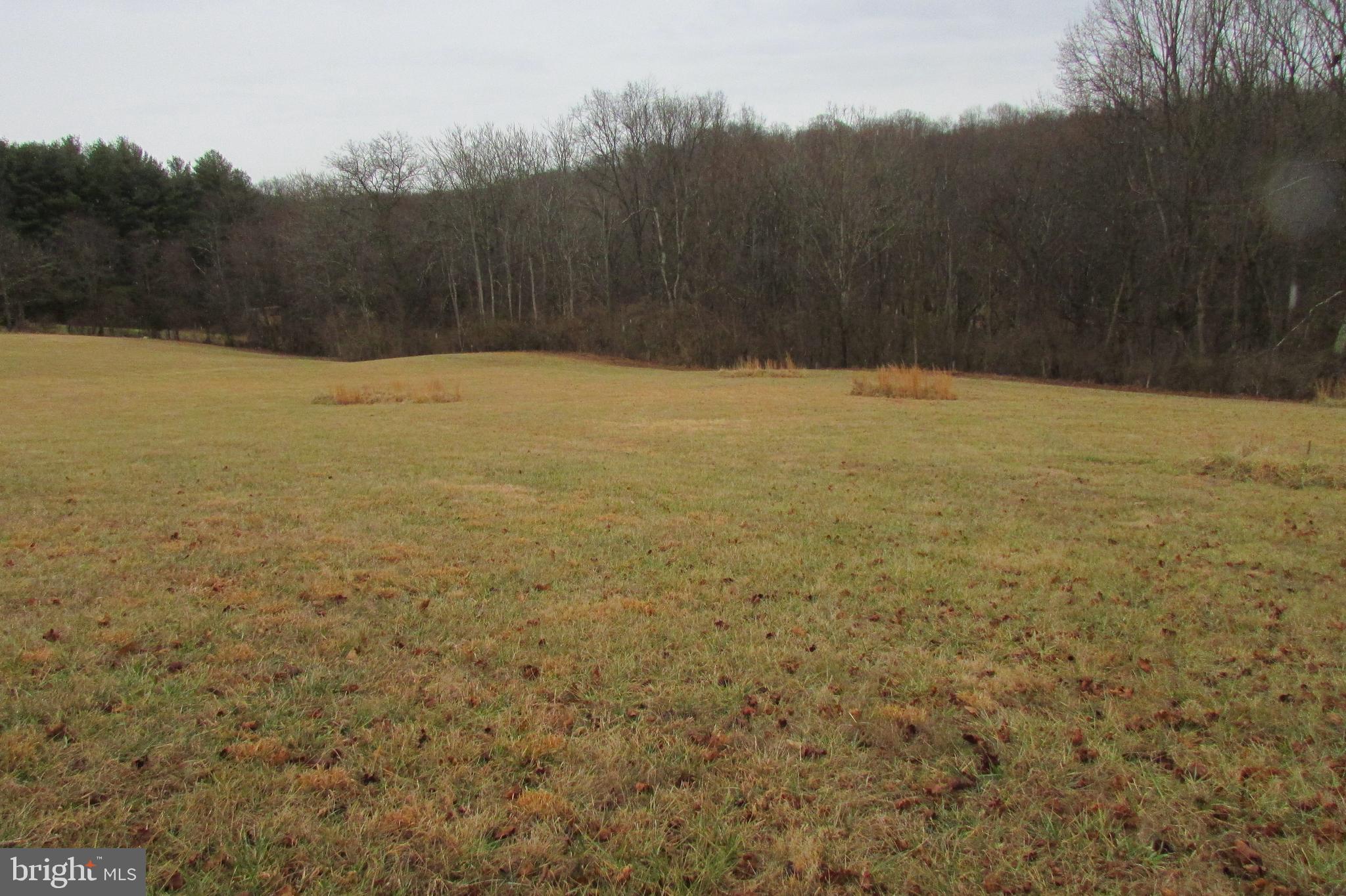 Lot 2 Flag Marsh Road Mount Airy, MD 21771 - Photo 3 of 4