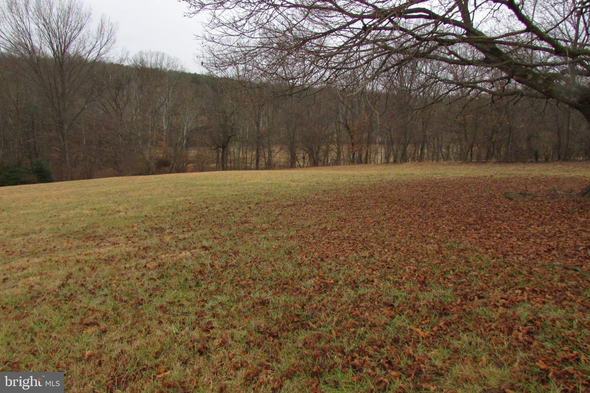 Lot 2 Flag Marsh Road Mount Airy, MD 21771 - Photo 4 of 4