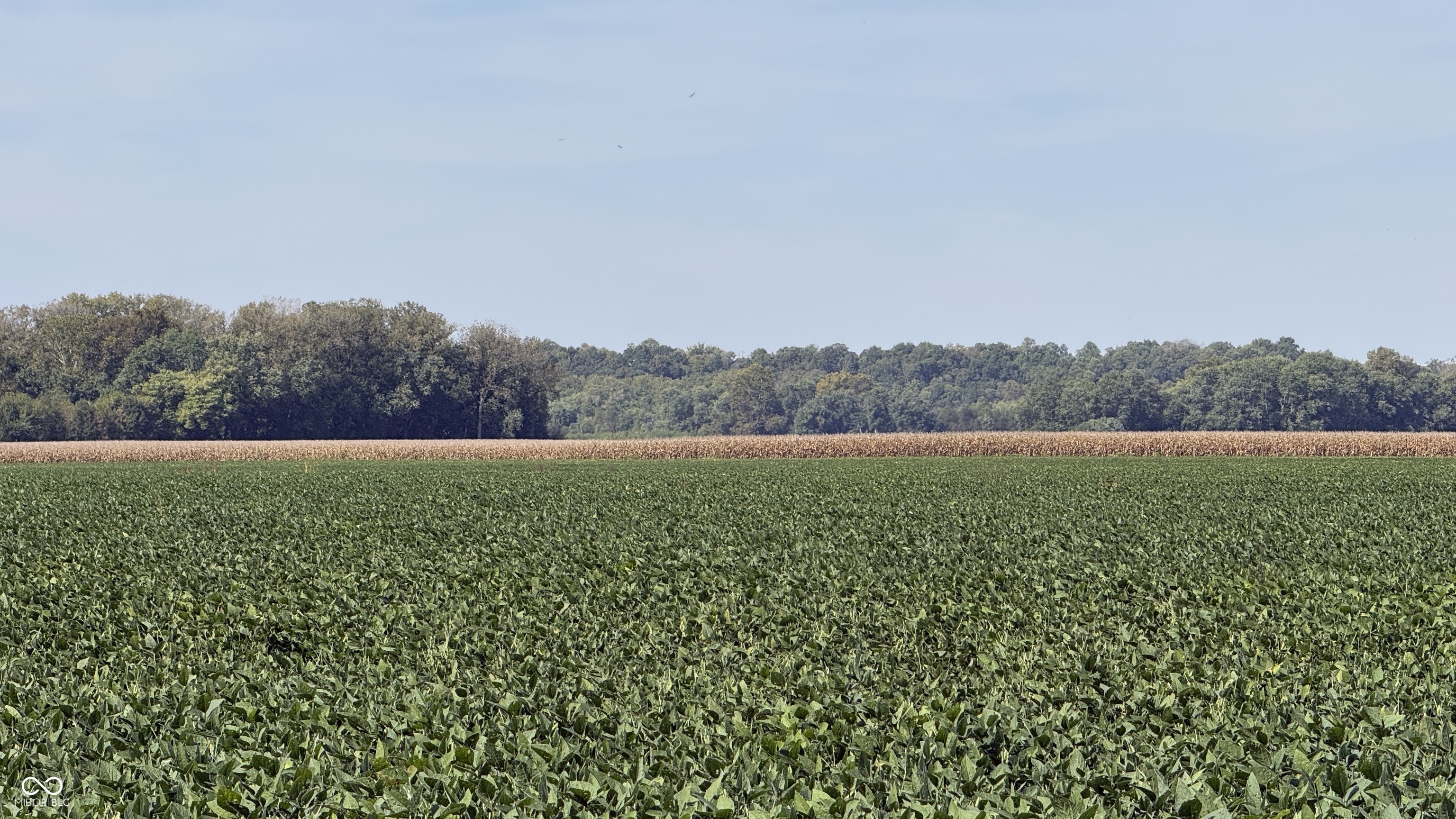 2 East 100th Road Worthington, IN 47471 - Photo 11 of 13 Gallery Image 11
