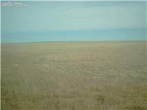 Lot 3 Enoch Road Calhan, CO 80808 - Photo 1 of 1 Gallery Image 1